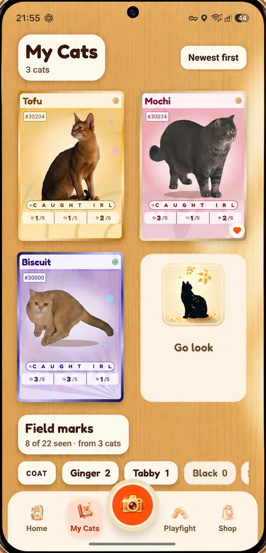 The PoCats album: Tofu, Mochi and Biscuit, each a real photographed cat on its own card.